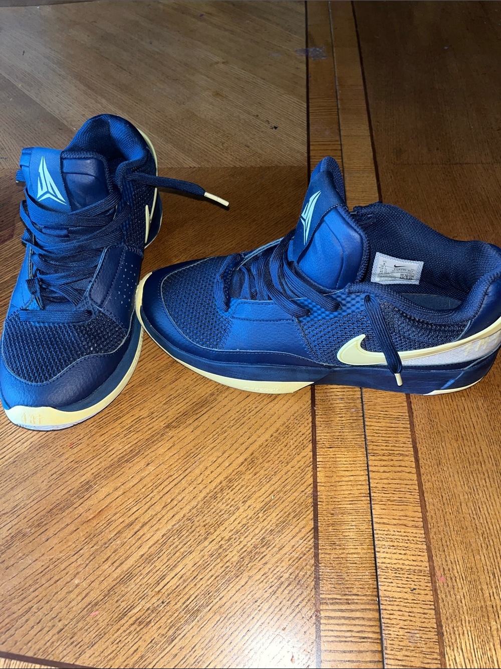 Nike Men’s Navy Athletic Shoes with Cream Swoosh